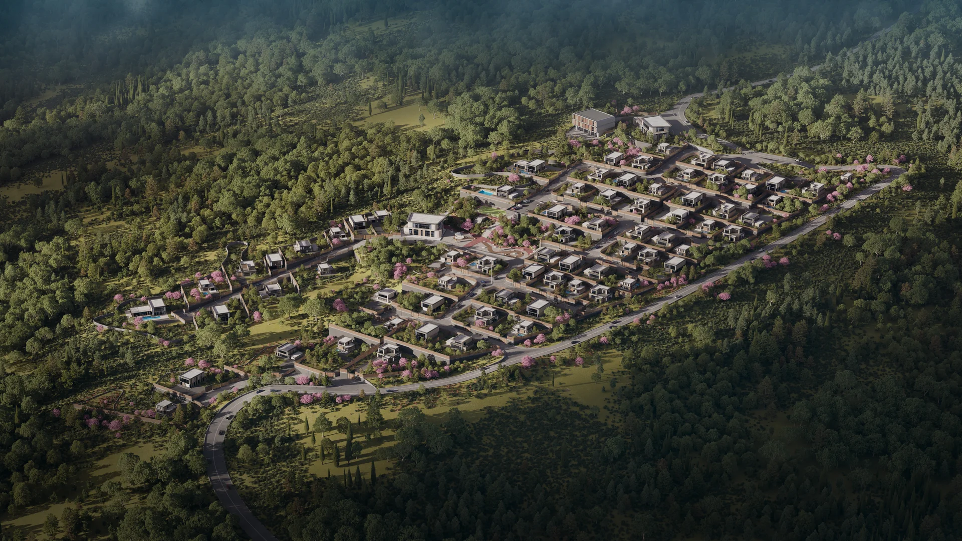 Lisi City View — 14