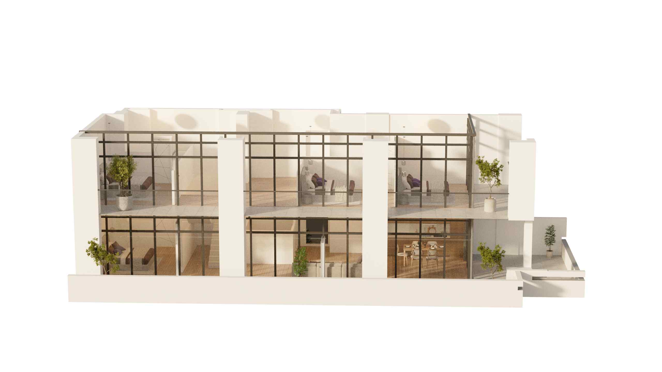 3D Image