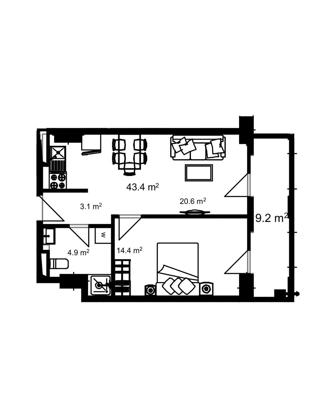 2D Image